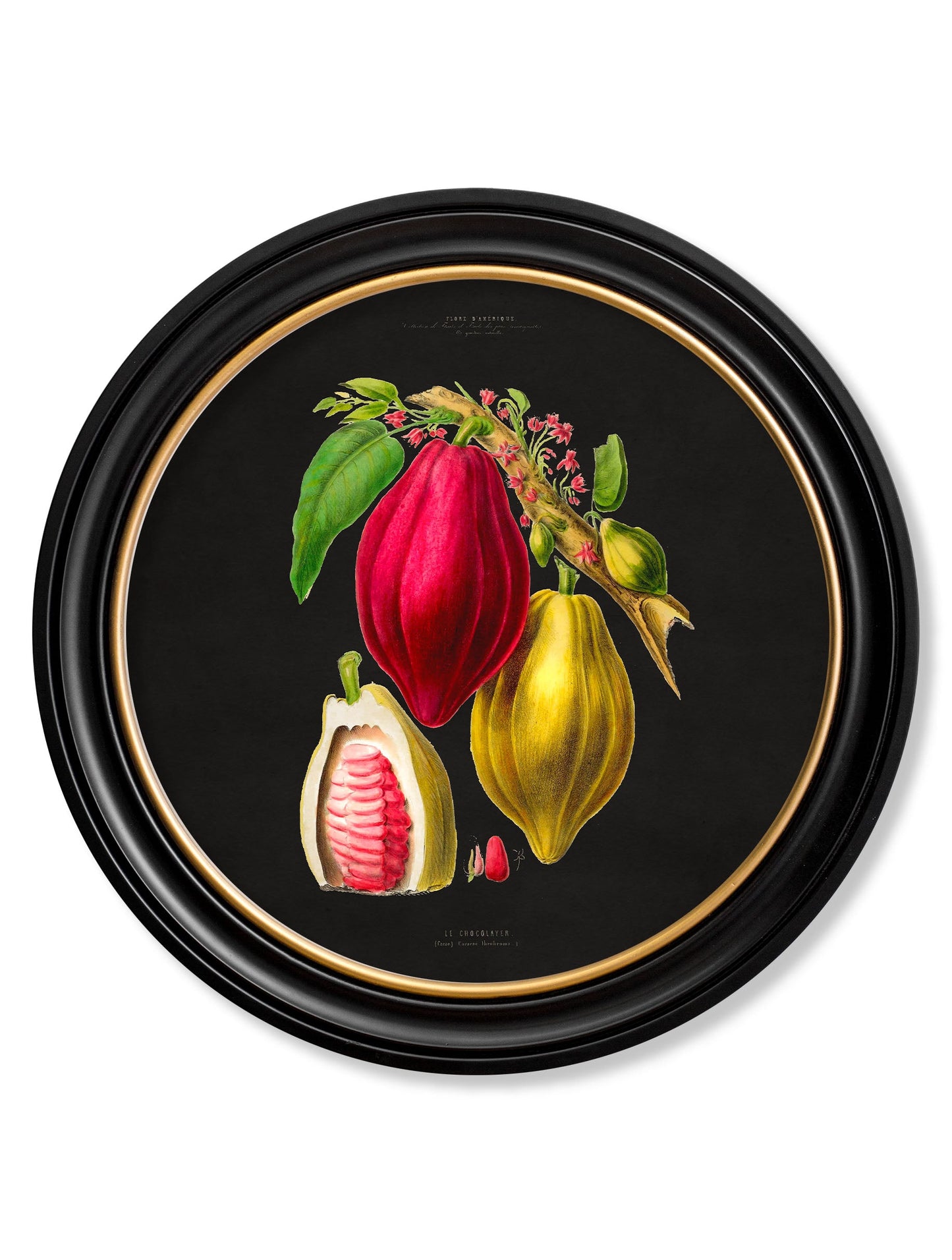 c.1843 Chocolate Plant – Round Frame – Black detail – Leya Buster Interiors
