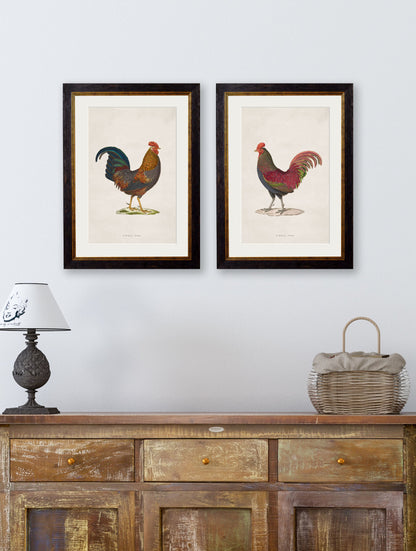 c.1838 Junglefowl – framed wall art at Leya Buster Interiors