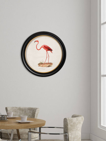 Pink Flamingo Round Framed Picture – framed wall art at Leya Buster Interiors