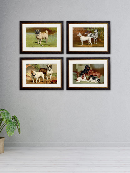 c.1881 Dogs – framed wall art at Leya Buster Interiors