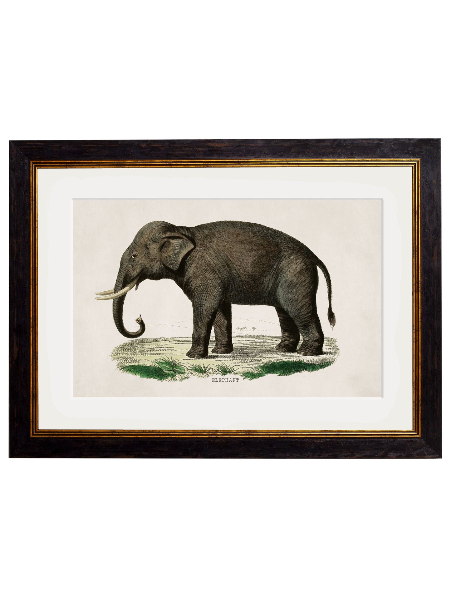 c.1846 Elephants styled view – Leya Buster Interiors