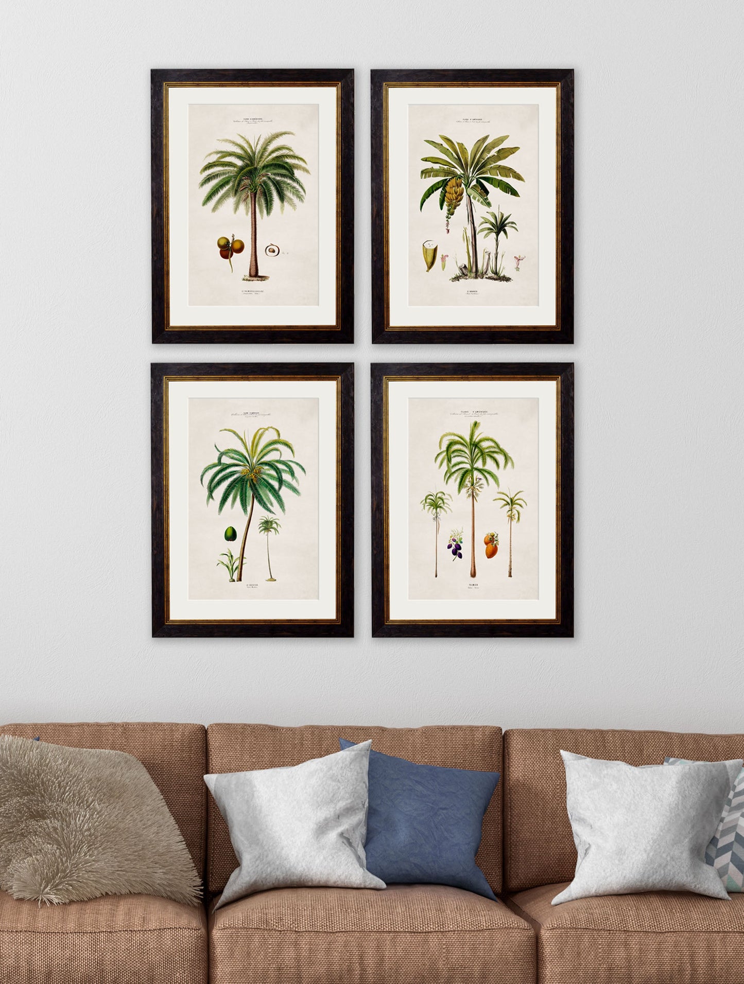 c.1843 Studies of South American Palm Trees – framed wall art at Leya Buster Interiors