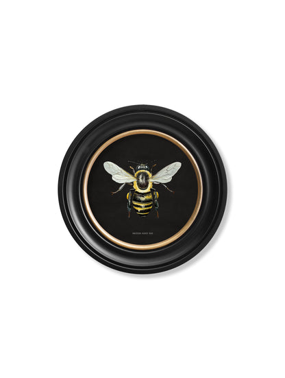 c892 British Bees Round Frame – Dark styled view – Leya Buster Interiors