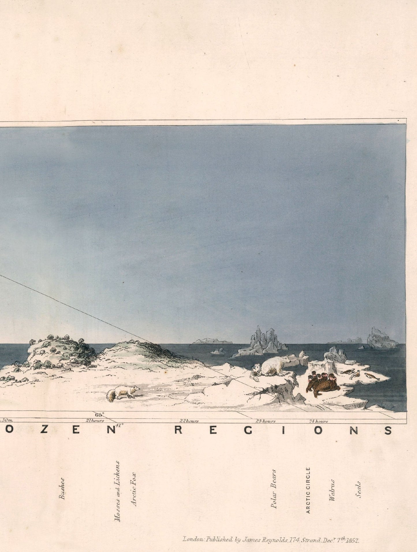 c.1852 View of Nature in all Climates – From the Equator to the Arctic Circle styled view – Leya Buster Interiors