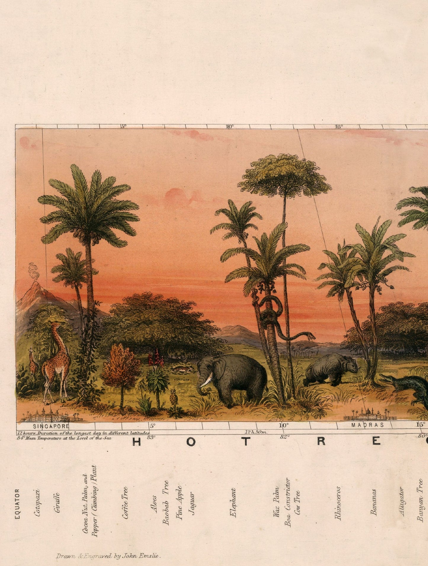 c.1852 View of Nature in all Climates – From the Equator to the Arctic Circle styled view – Leya Buster Interiors