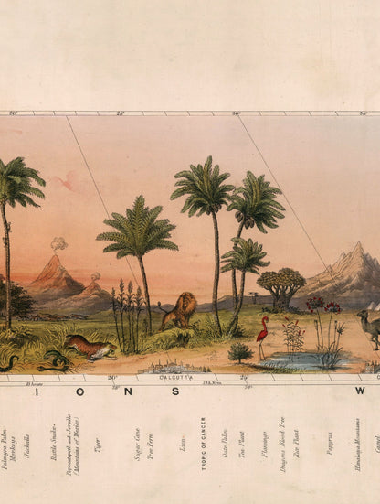 c.1852 View of Nature in all Climates – From the Equator to the Arctic Circle styled view – Leya Buster Interiors