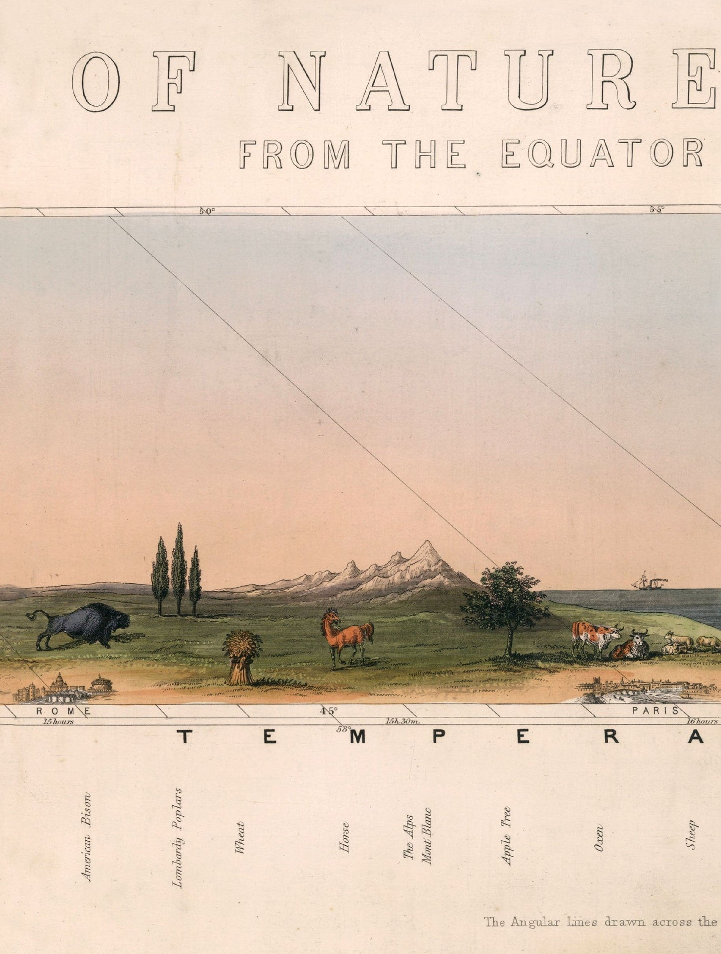 c.1852 View of Nature in all Climates – From the Equator to the Arctic Circle styled view – Leya Buster Interiors