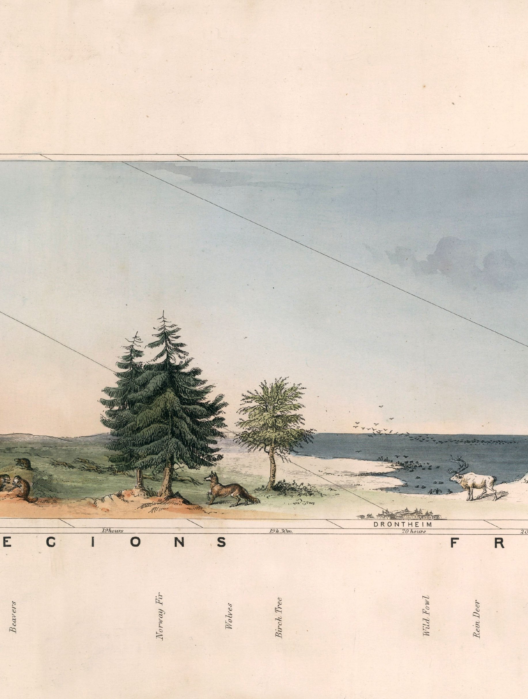 c.1852 View of Nature in all Climates – From the Equator to the Arctic Circle styled view – Leya Buster Interiors