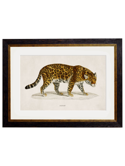 c.1836 Jaguar detail – Leya Buster Interiors