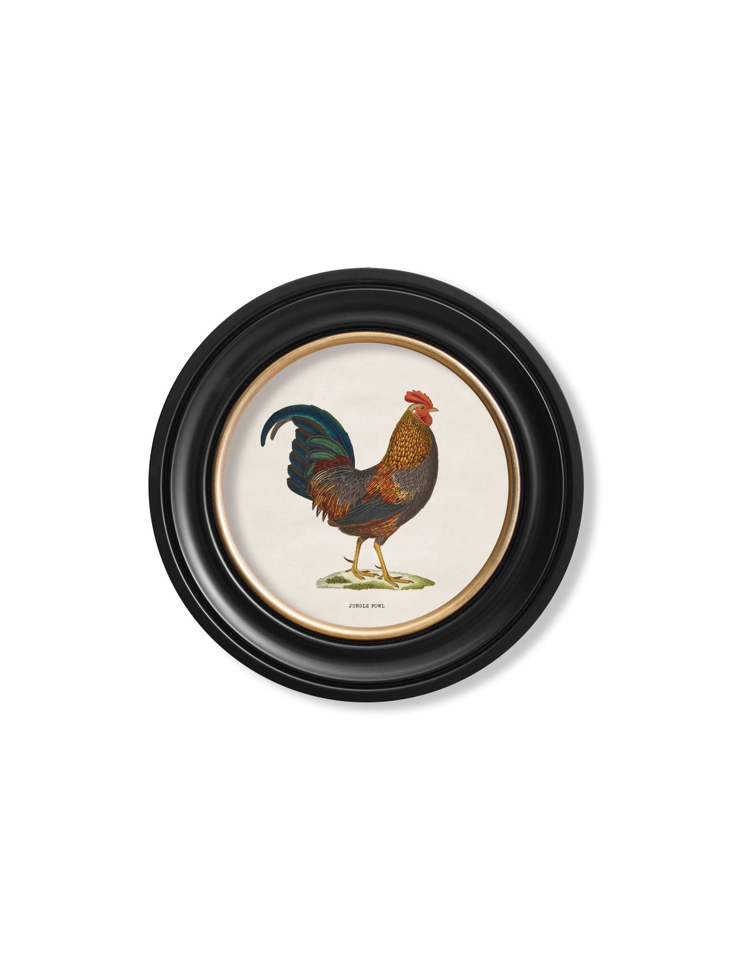c.1838 Junglefowl in Round Frames styled view – Leya Buster Interiors