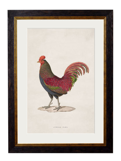 c.1838 Junglefowl styled view – Leya Buster Interiors