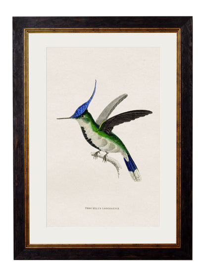 c.1833 Hummingbirds styled view – Leya Buster Interiors