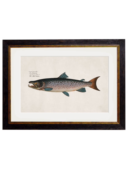 c.1785 Studies of Salmon styled view – Leya Buster Interiors