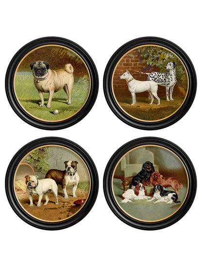 c.1881 Dogs – Round Frame detail – Leya Buster Interiors
