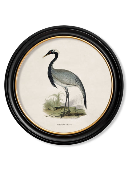 c.1870 Wading Birds in Round Frames styled view – Leya Buster Interiors