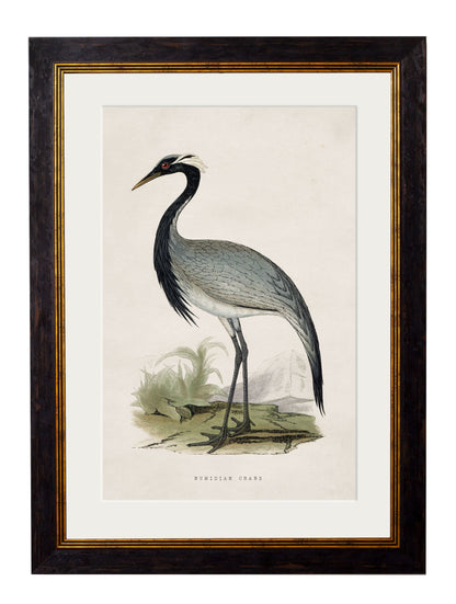 c.1850's British Wading Birds styled view – Leya Buster Interiors