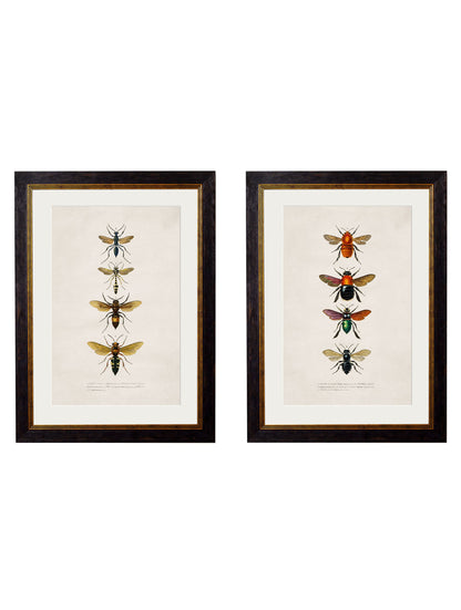 c.1892 Bees and Wasps detail – Leya Buster Interiors