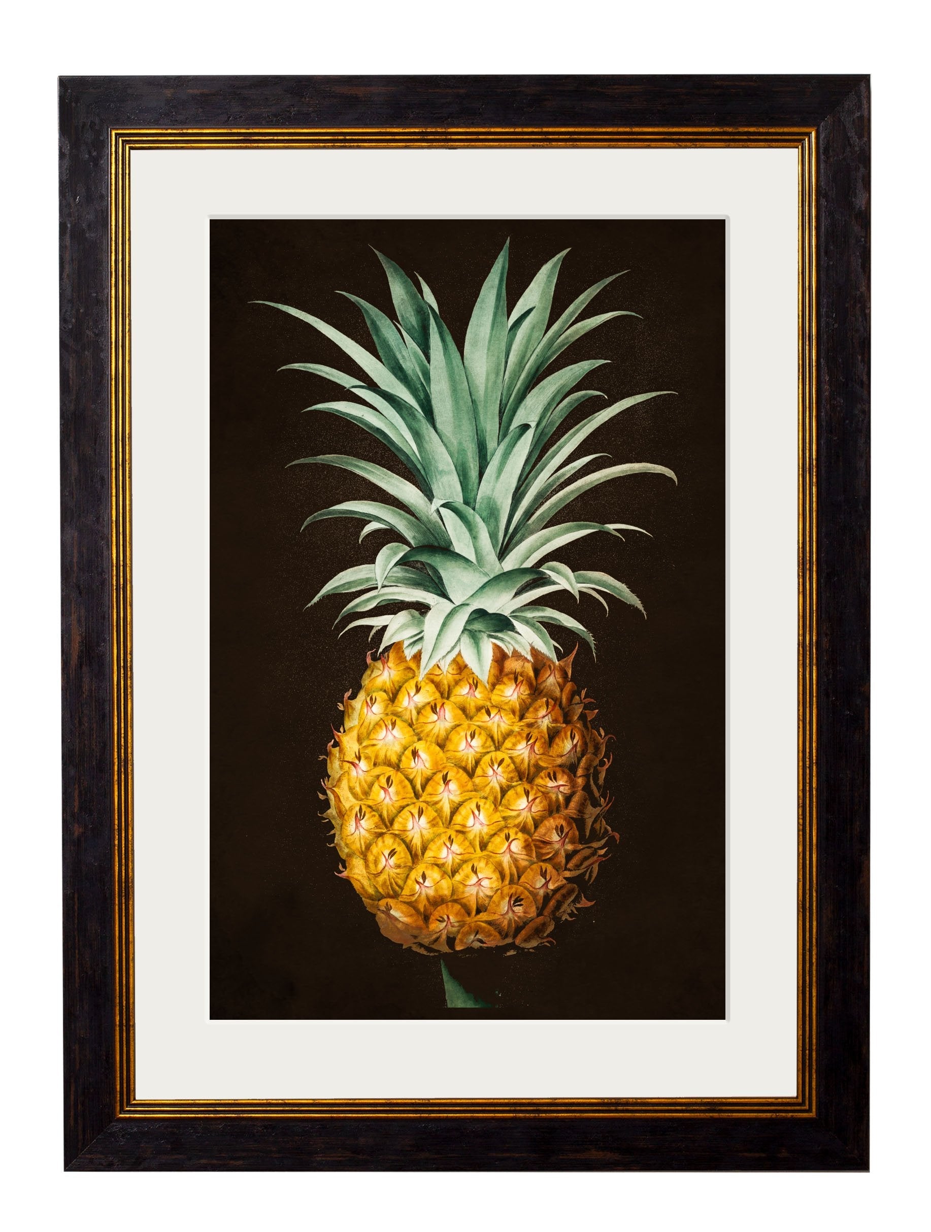 c.1812 Pineapple Study (Black) detail – Leya Buster Interiors