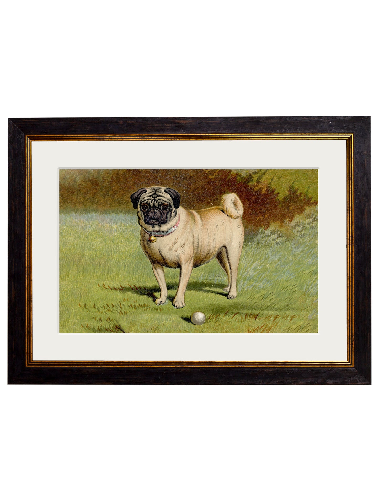 c.1881 Dogs styled view – Leya Buster Interiors