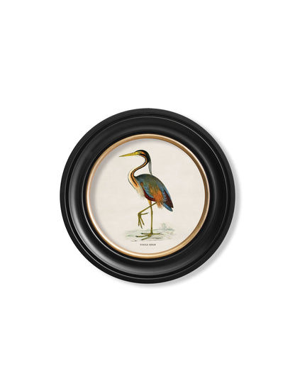 c.1870 Wading Birds in Round Frames styled view – Leya Buster Interiors