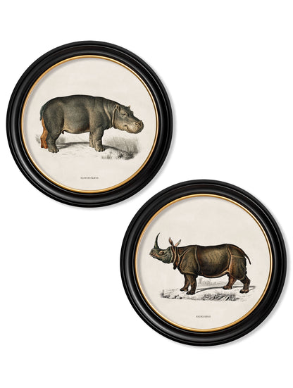 c.1846 Rhino & Hippo – Round Frames detail – Leya Buster Interiors