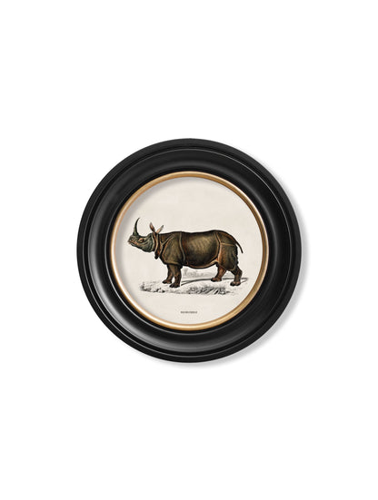 c.1846 Rhino & Hippo – Round Frames styled view – Leya Buster Interiors