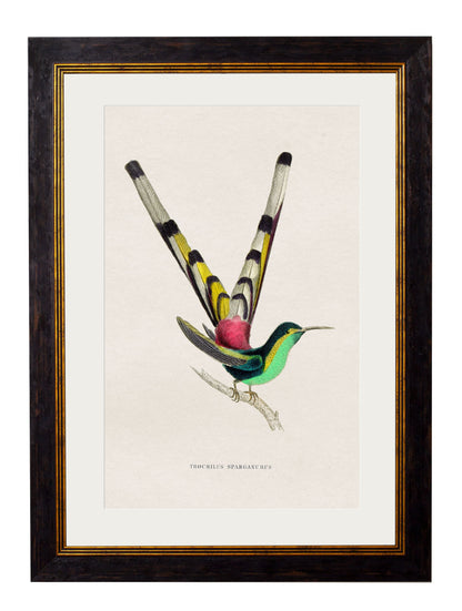 c.1833 Hummingbirds styled view – Leya Buster Interiors