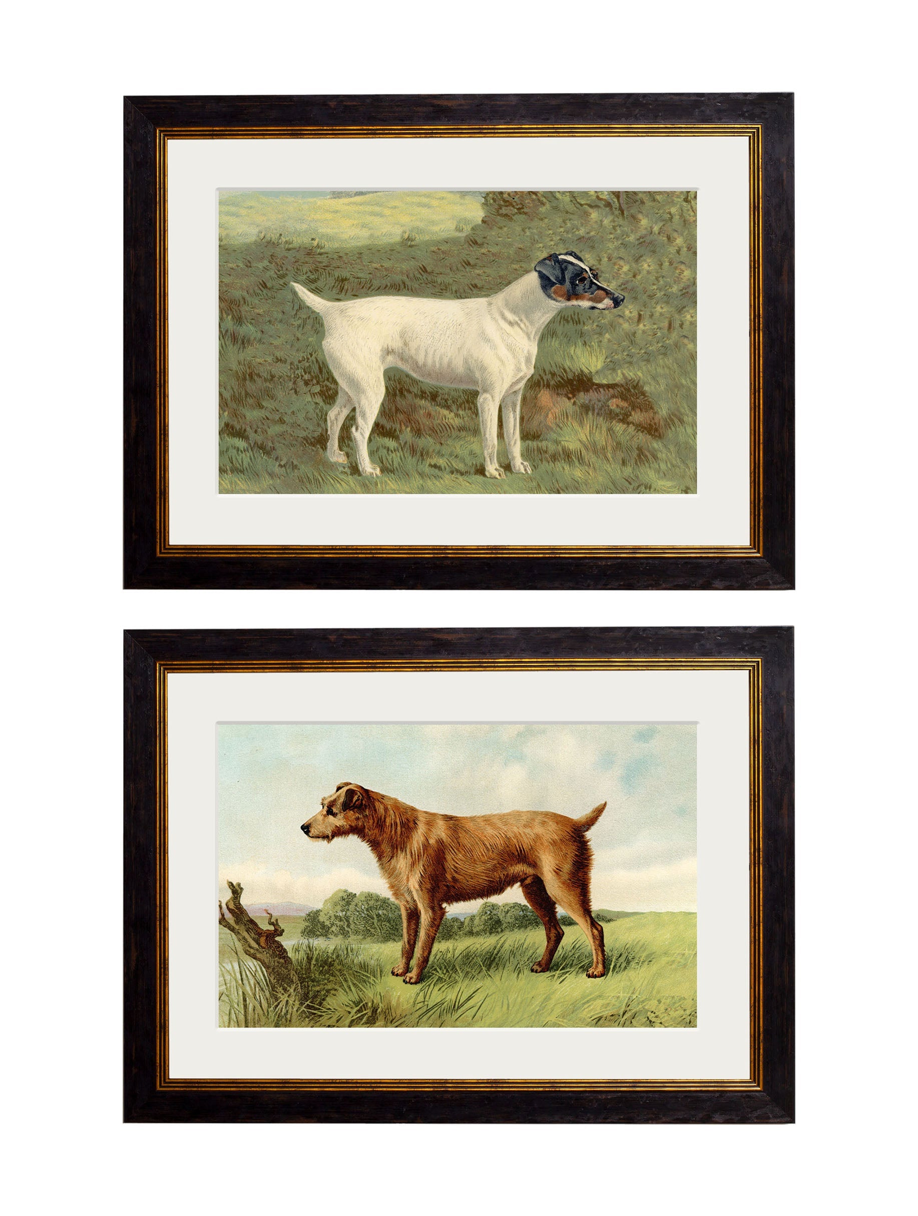 c.1881 Terriers detail – Leya Buster Interiors