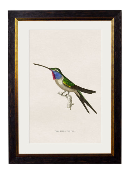 c.1833 Hummingbirds styled view – Leya Buster Interiors