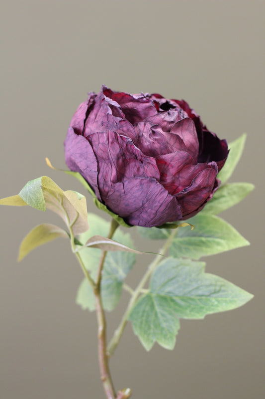 Vintage Peony Bud Stem – Aubergine faux peony bud in a rich plum tone