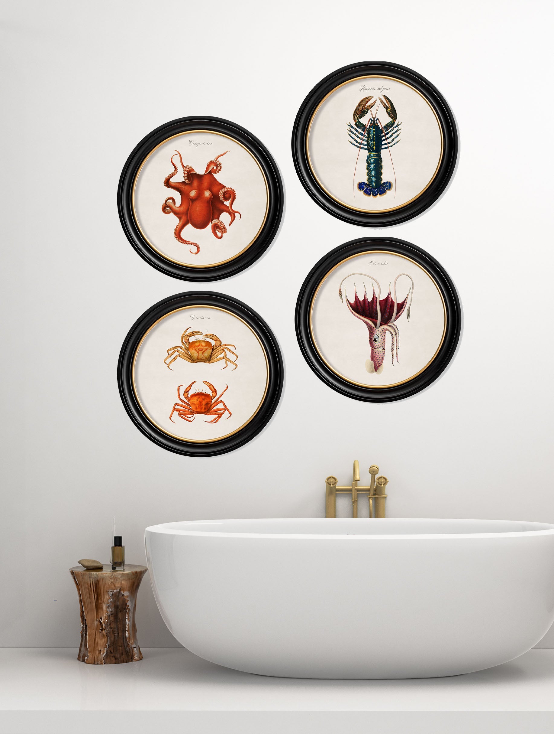 c.1876 Marine Animals in Round Frames – framed wall art at Leya Buster Interiors