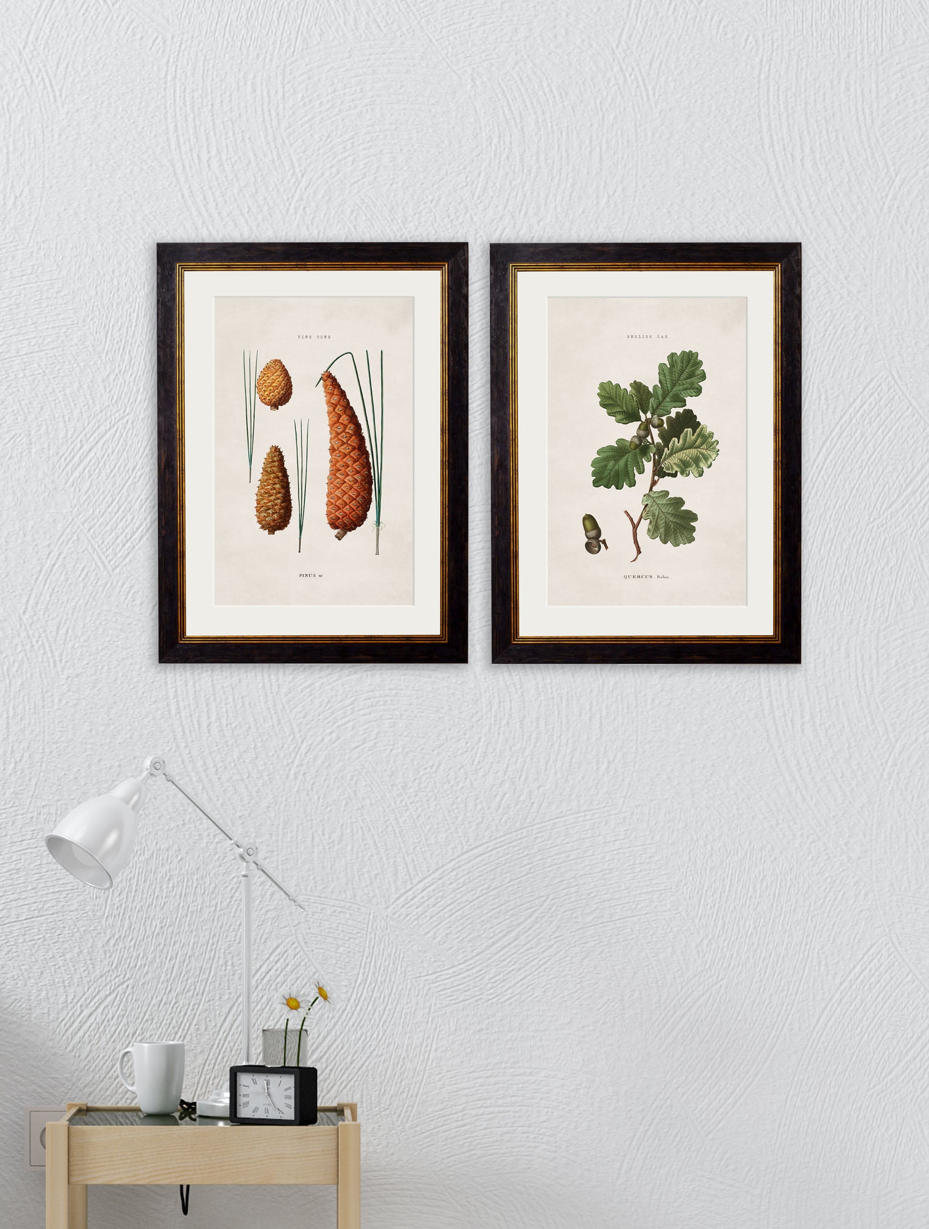 c.1819 Study of British Leaves and Pinecones – framed wall art at Leya Buster Interiors