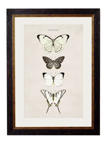 c.1835 Butterflies styled view – Leya Buster Interiors